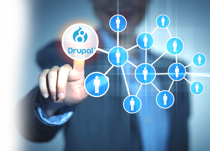 Build business with Drupal