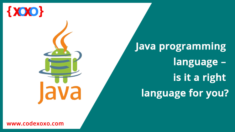 Java-programming-language-–-is-it-a-right-language-for-you