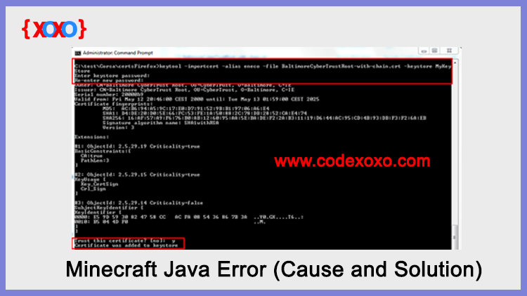 Minecraft Java Error (Cause and Solution)