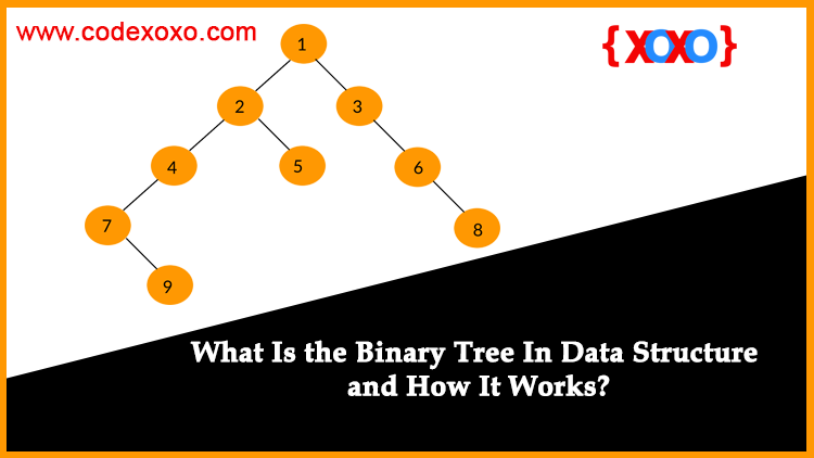 What-Is-the-Binary-Tree-In-Data-Structure-and-How-It-Works