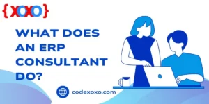 What Does an ERP Consultant Do What Does an ERP Consultant Do img.