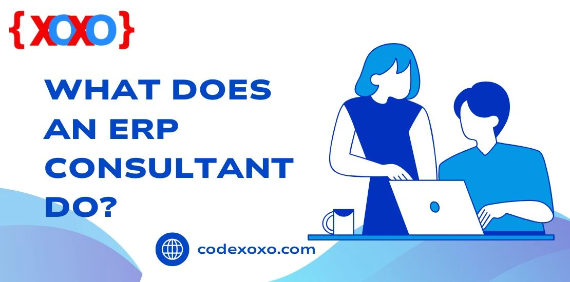 What Does an ERP Consultant Do img.
