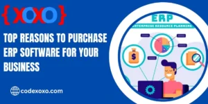 Top Reasons to Purchase ERP Software for Your Business img.