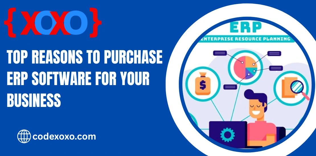 Top Reasons to Purchase ERP Software for Your Business img.