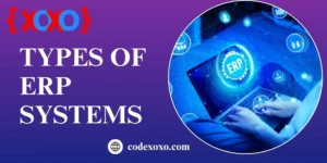 Types of ERP Systems img.